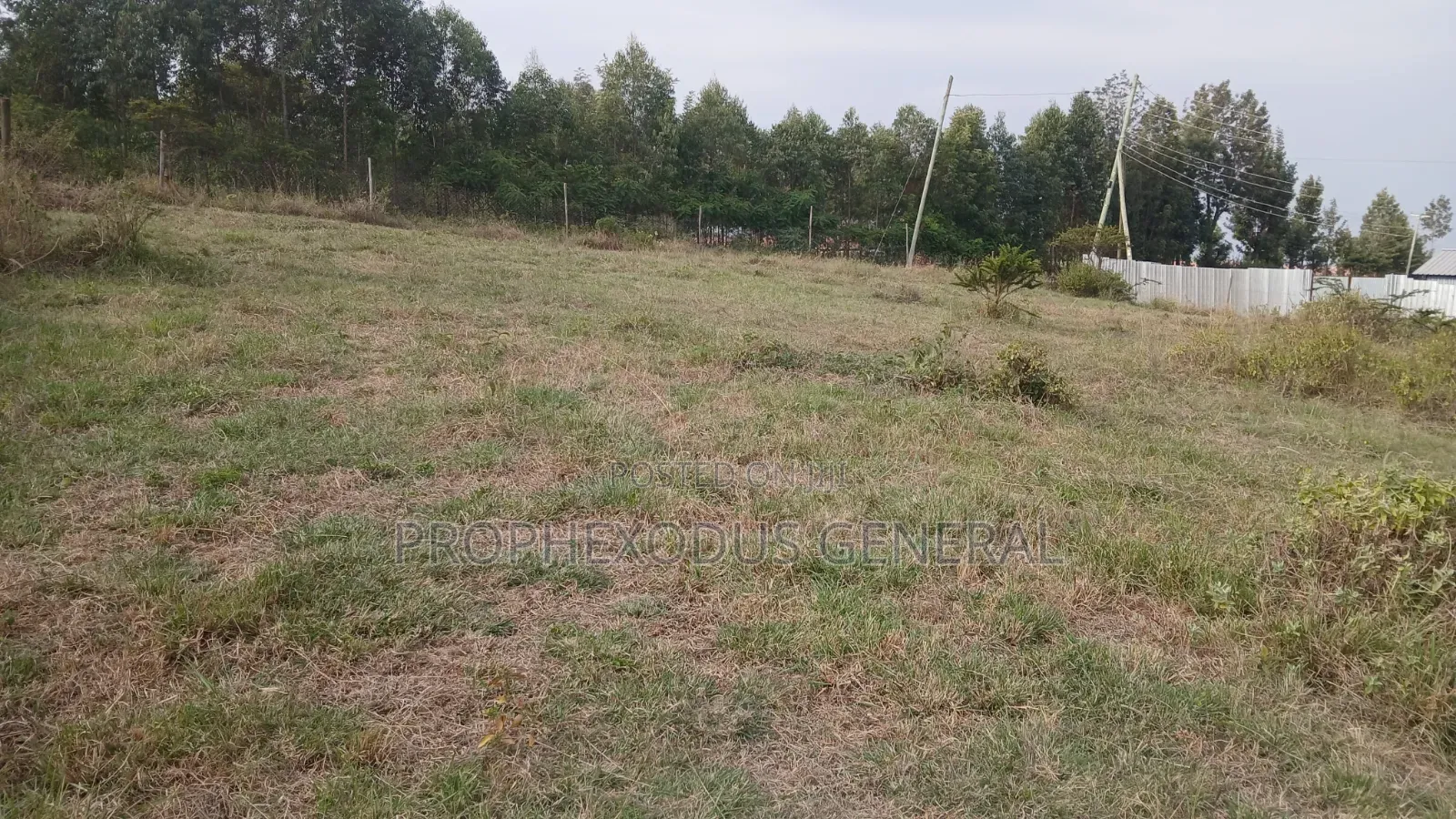 1/4 for Sale in Ongata Rongai, Kamura–Oloika Area