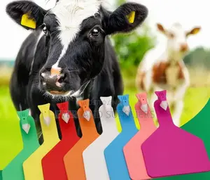 Durable Plain Number Ear Z- Tags for Cows (Colored)