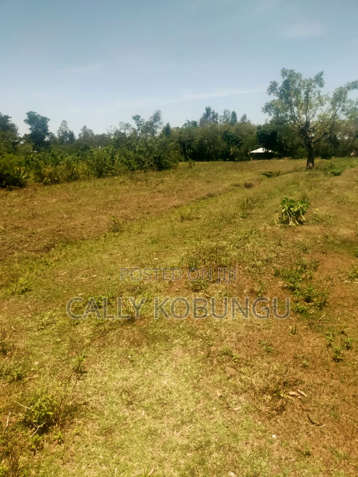 13⁄4 Acres Ojola Kadongo