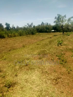 13⁄4 Acres Ojola Kadongo