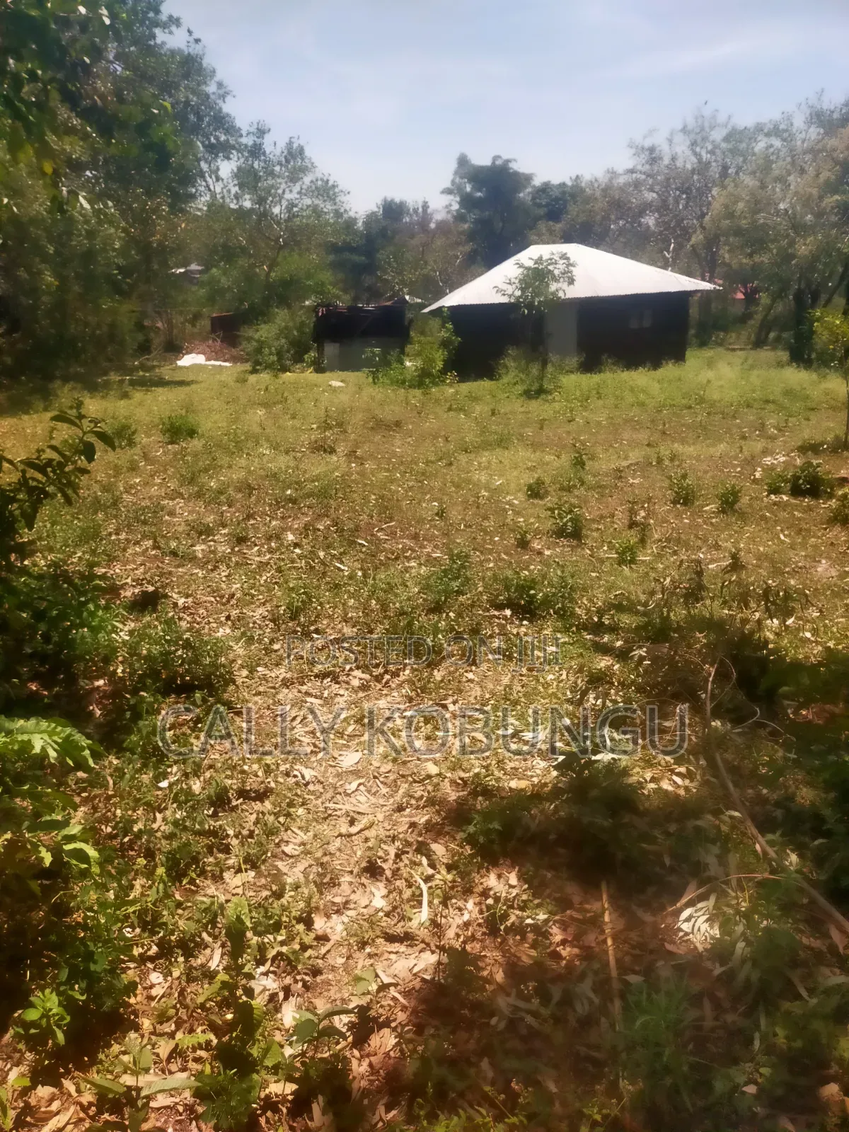 13⁄4 Acres Ojola Kadongo