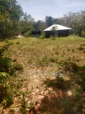 13⁄4 Acres Ojola Kadongo
