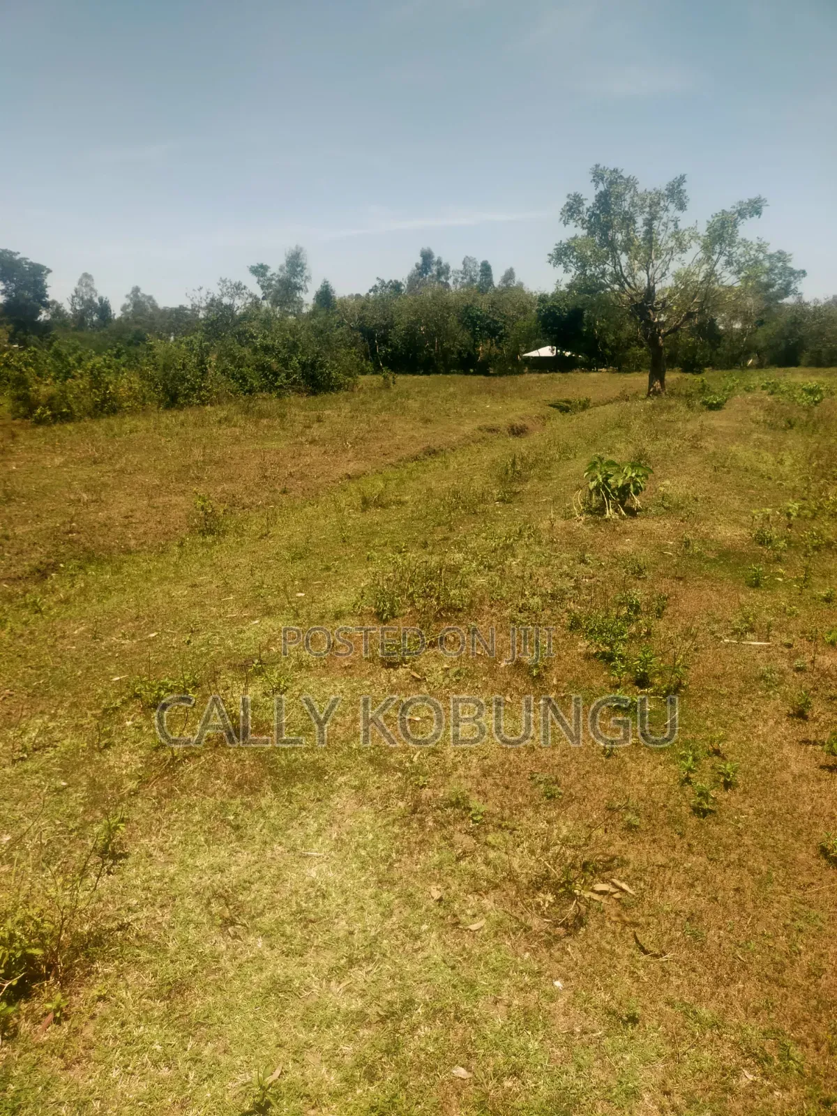 13⁄4 Acres Ojola Kadongo