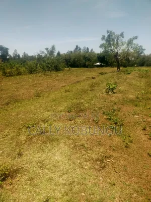 13⁄4 Acres Ojola Kadongo