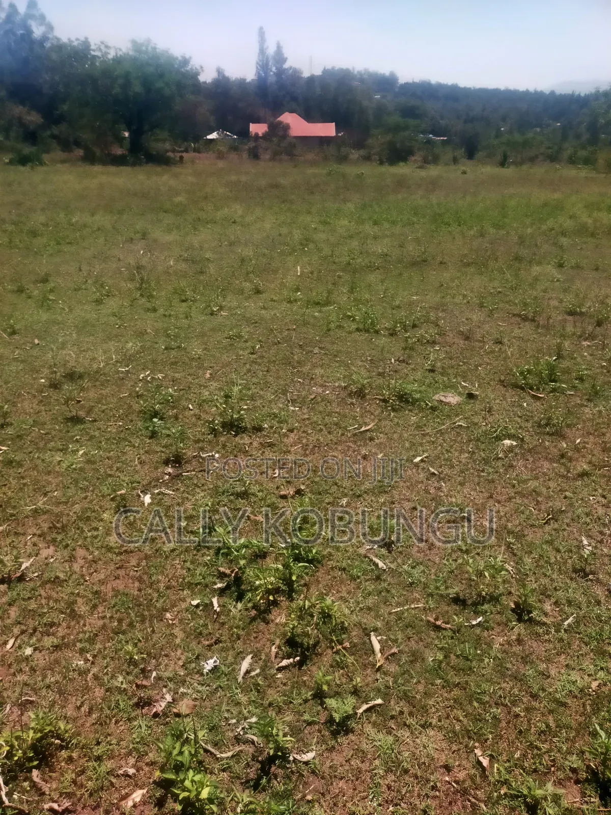 13⁄4 Acres Ojola Kadongo