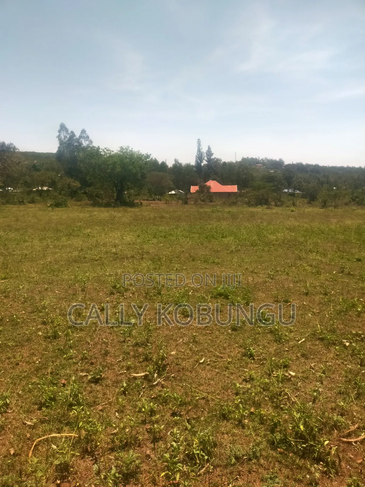 13⁄4 Acres Ojola Kadongo