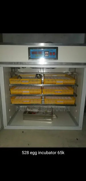 Automatic Egg Incubator /Hatcher 528 Eggs