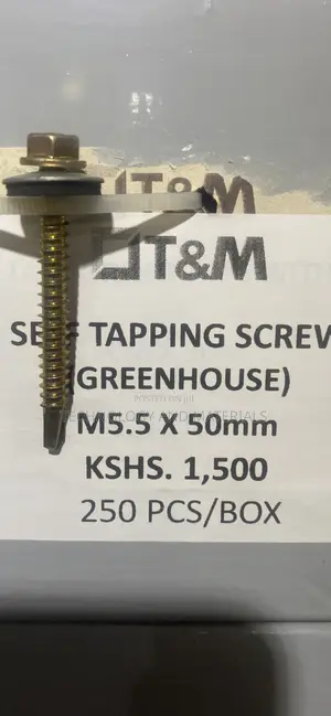 Self Tapping ScrewsM5.5*50mm