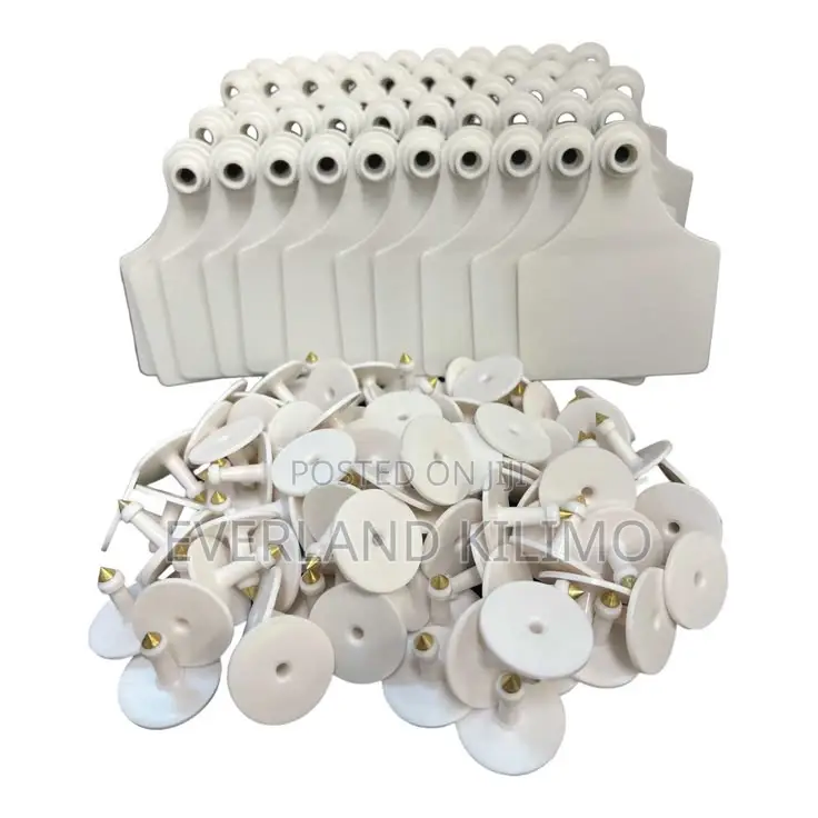 Easy-Read Cattle Identification Tags - Medium White Plain