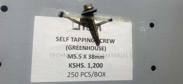 Self Tapping Screw M5.5*38mm