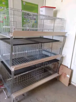 Broiler/Brooding Cages