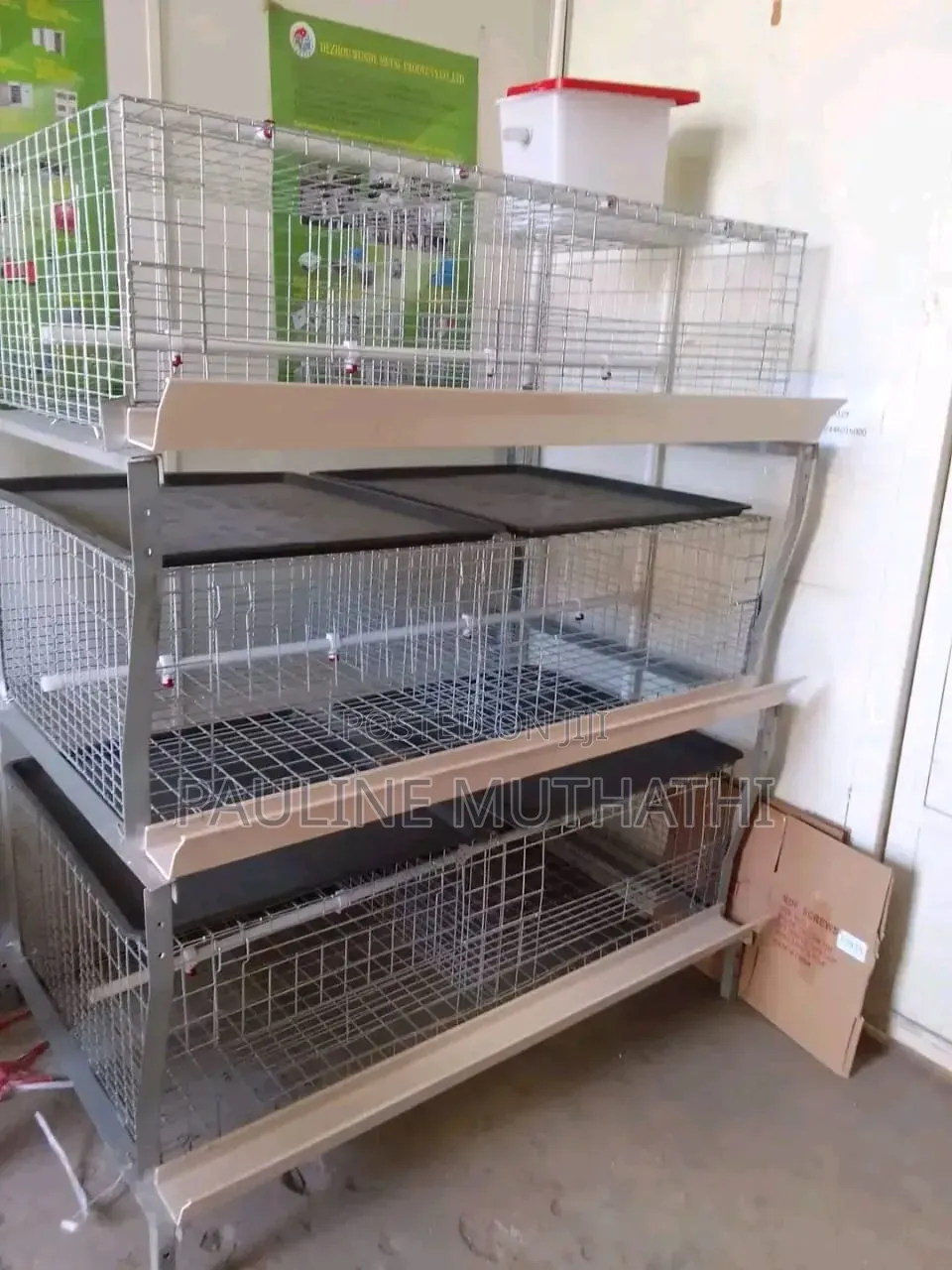 Broiler/Brooding Cages