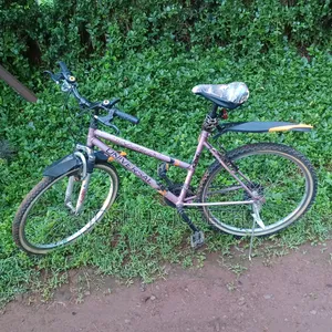 Bicycle for Sale