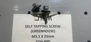 Self Tapping Screw M5.5*25mm