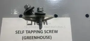 Self Tapping Screw M5.5*25mm
