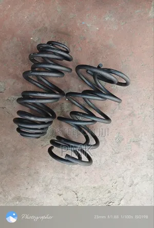 BMW E36 Coil Spring