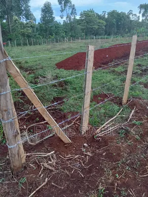 Land for Sale in Tranzoia