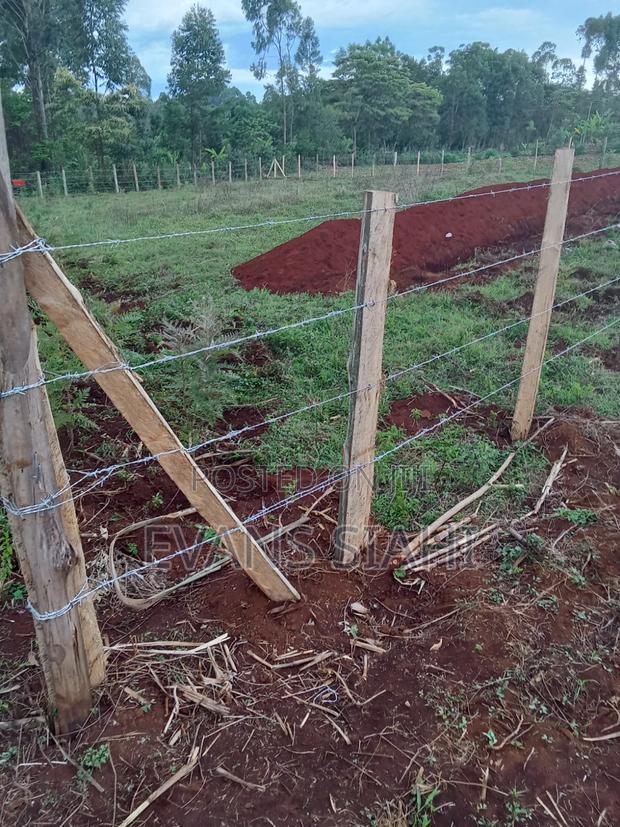 Land for Sale in Tranzoia