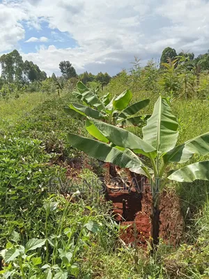 Land for Sale in Tranzoia