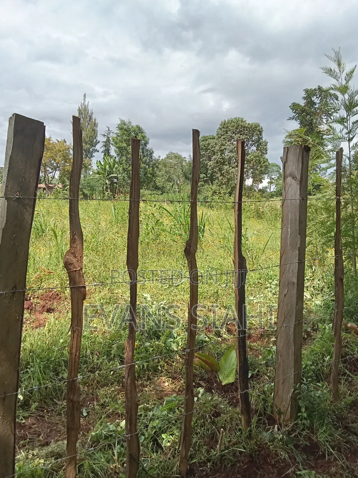 Land for Sale in Tranzoia