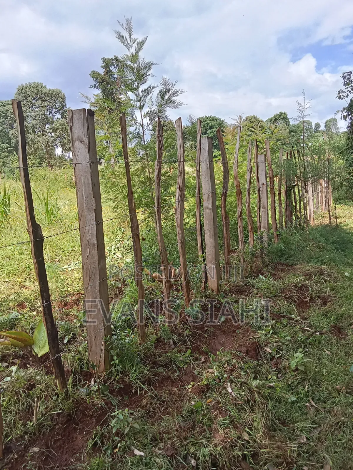 Land for Sale in Tranzoia