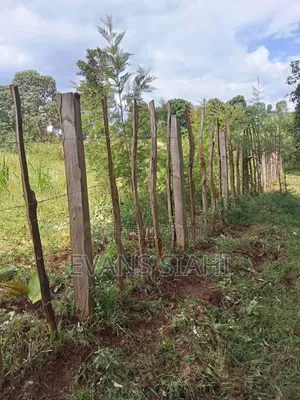 Land for Sale in Tranzoia