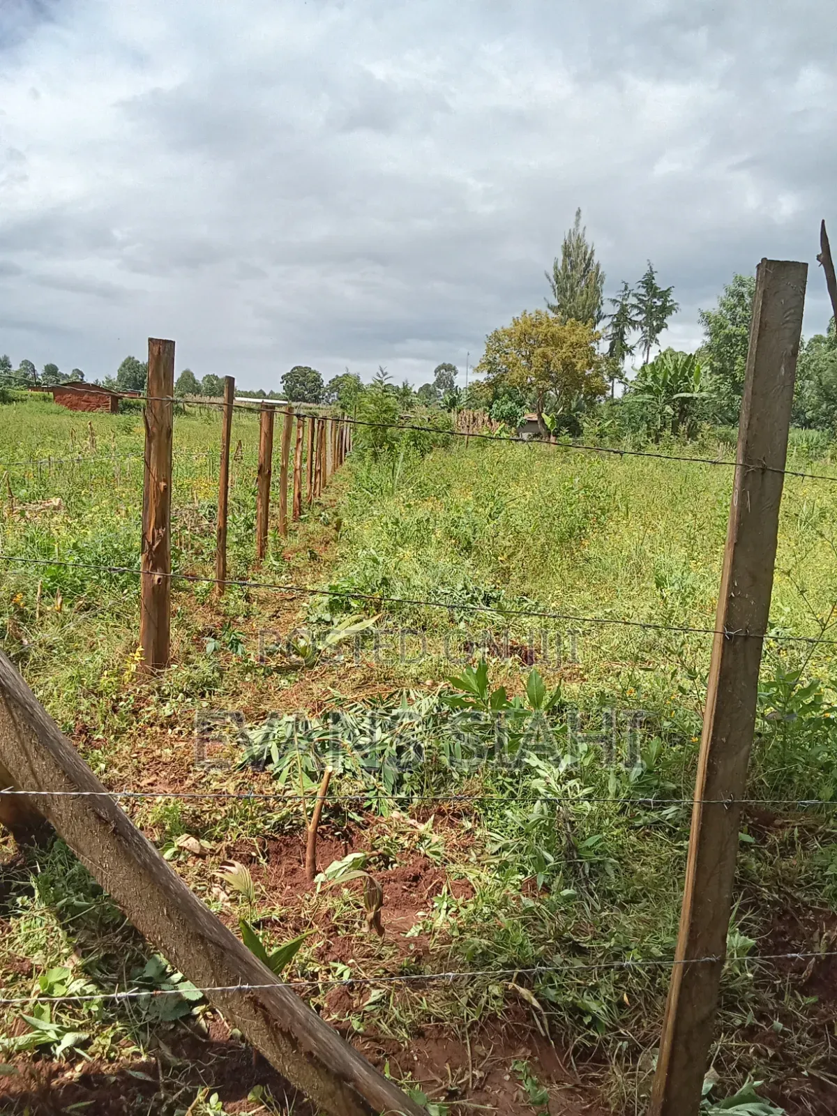 Land for Sale in Tranzoia