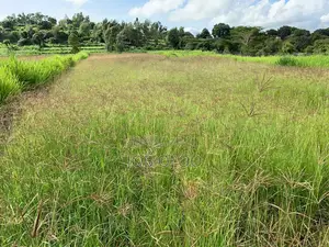 1.4 Acre Parcel in Mua Hills