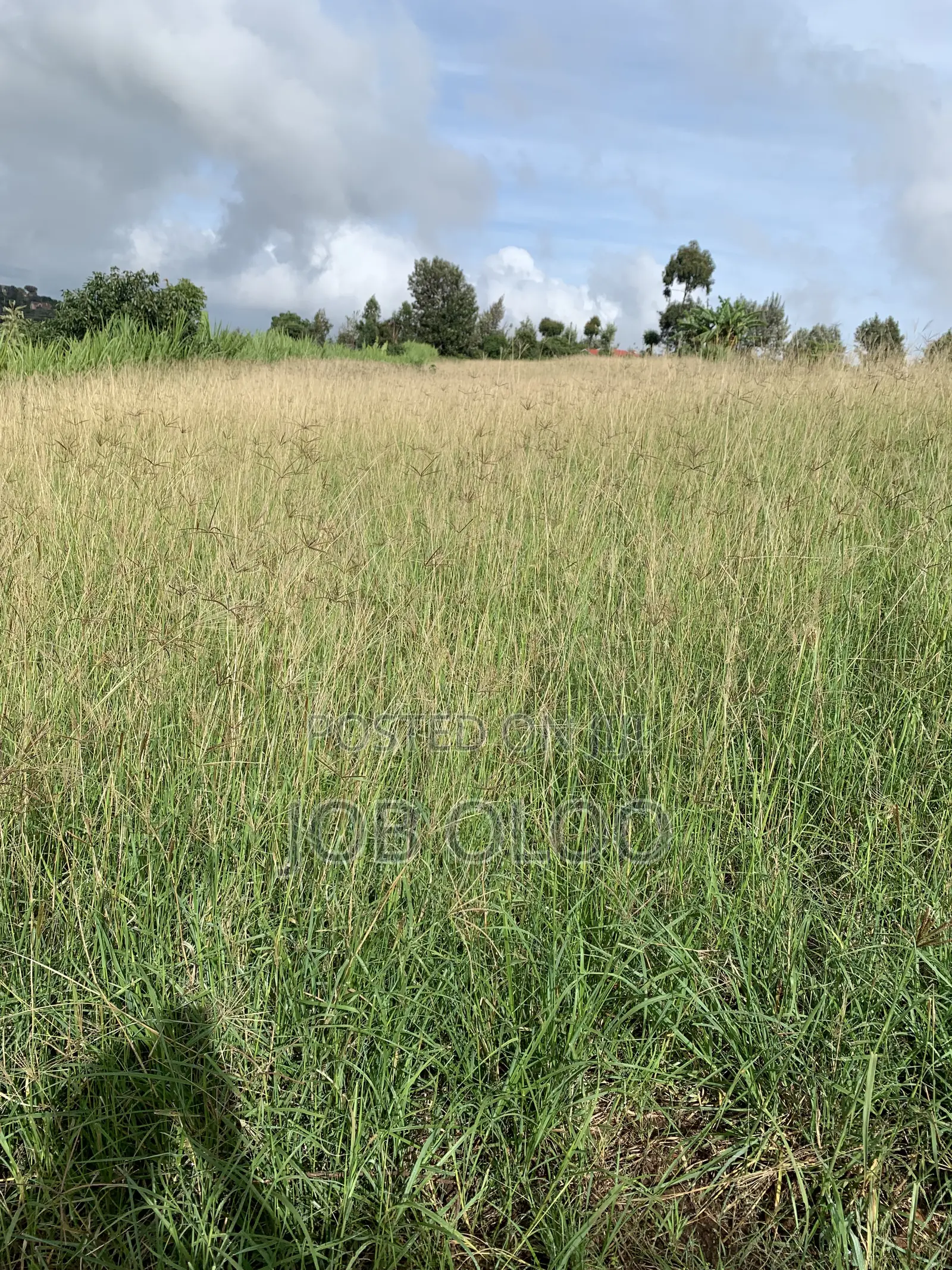 1.4 Acre Parcel in Mua Hills