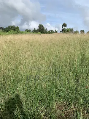 1.4 Acre Parcel in Mua Hills