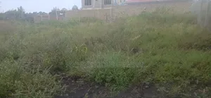 50ft by 100ft Prime Plots for Sale in O/Rongai Nkoroi Merisho Road.