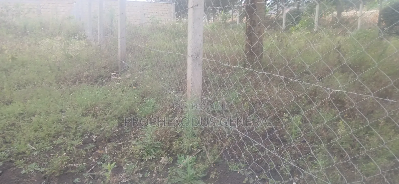50ft by 100ft Prime Plots for Sale in O/Rongai Nkoroi Merisho Road.