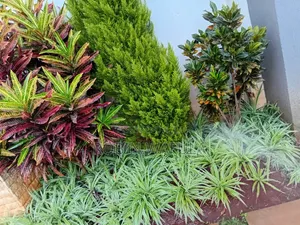 Gardening and Cleaning