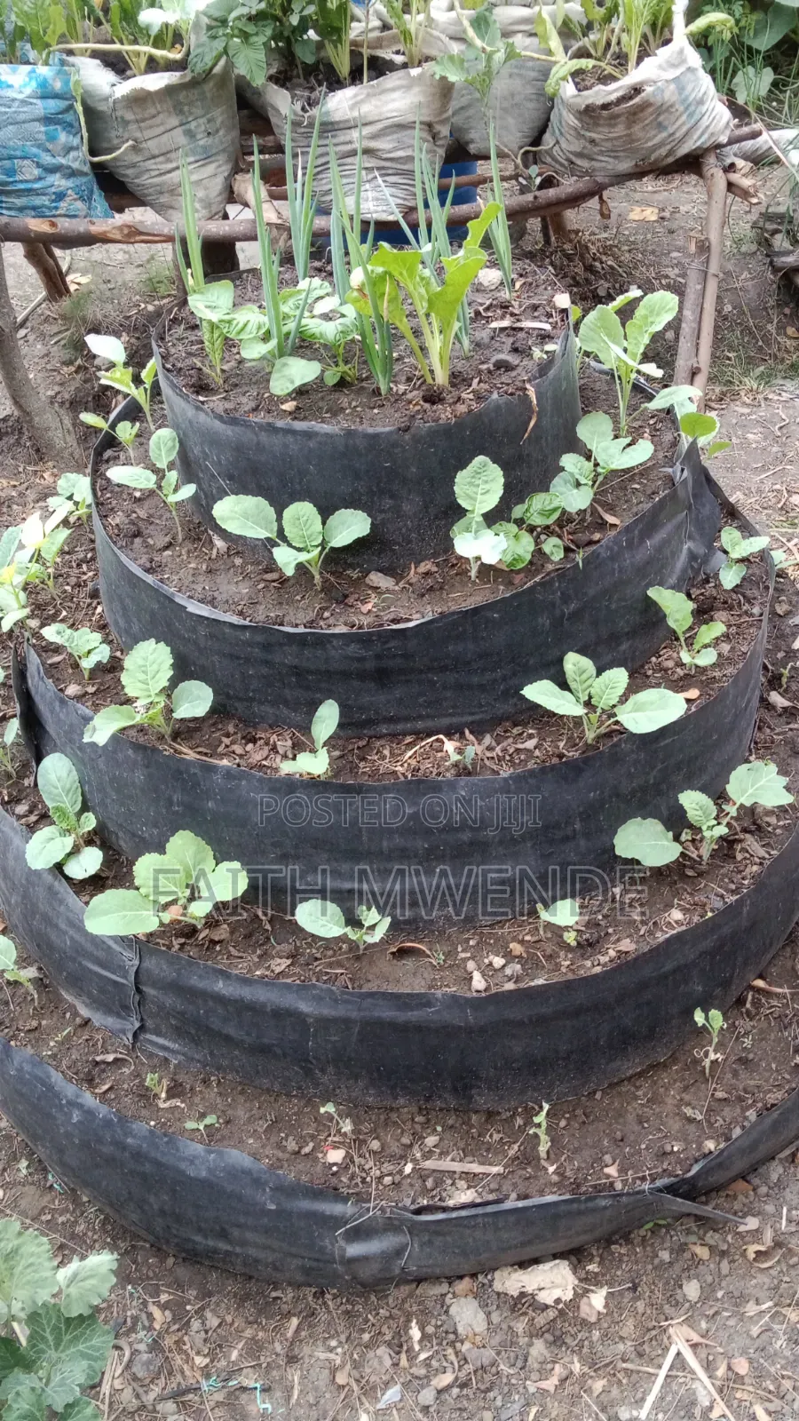 Modern Agriculture Practices.
