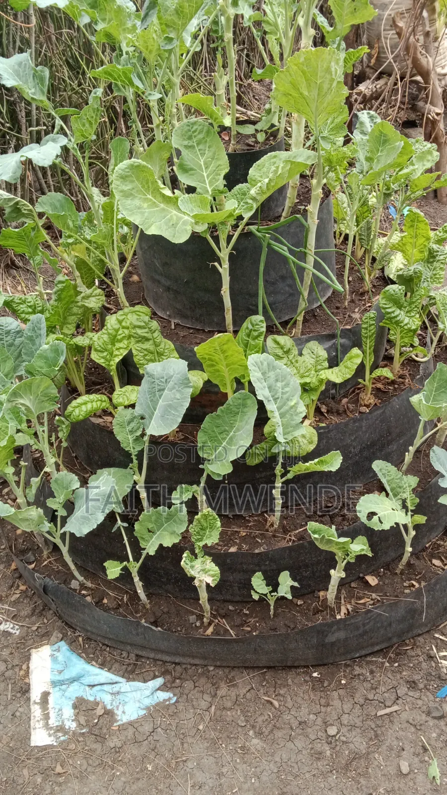 Modern Agriculture Practices.