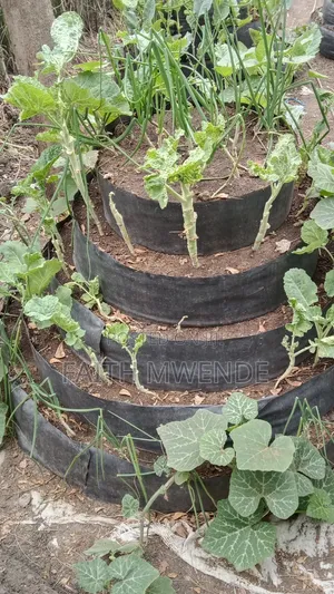 Modern Agriculture Practices.