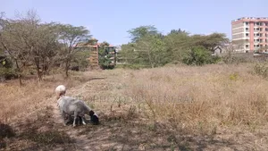 1/4 Acre Commercial Plots for Sale in Ongata Rongai Town.