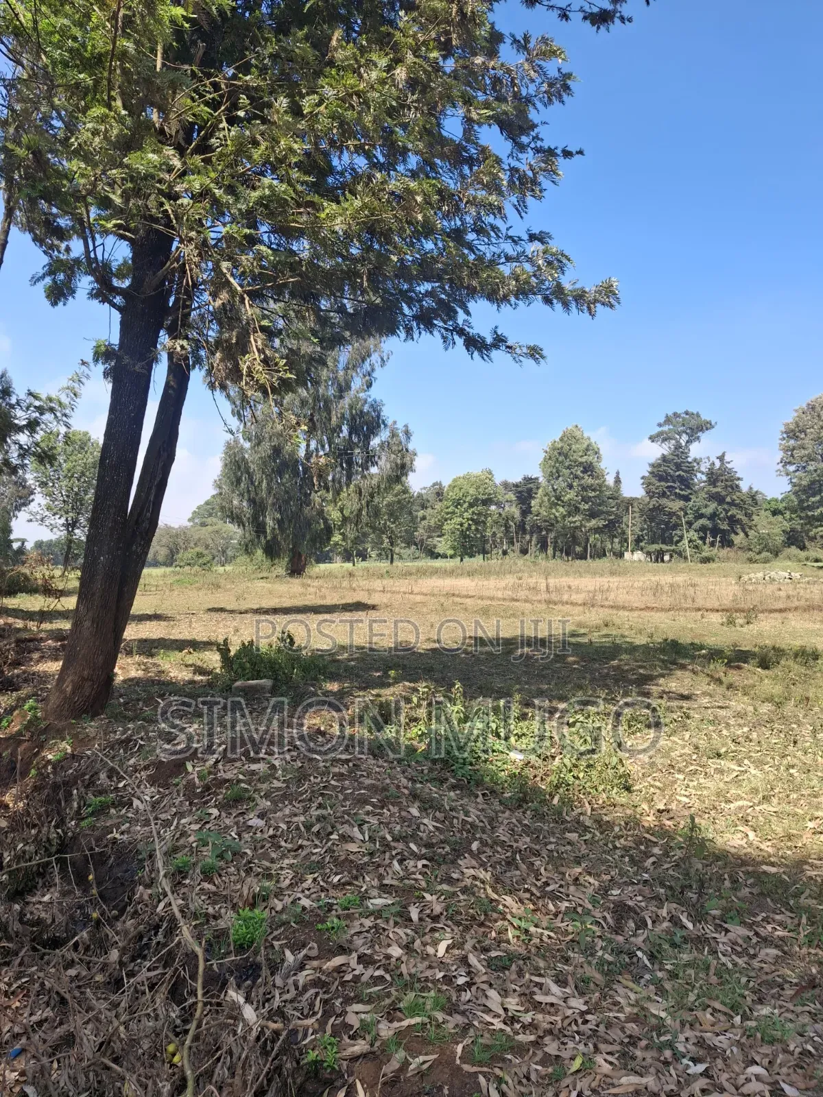 Limuru Rironi Prime 5 Acres