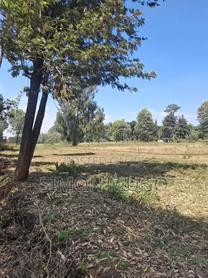 Limuru Rironi Prime 5 Acres