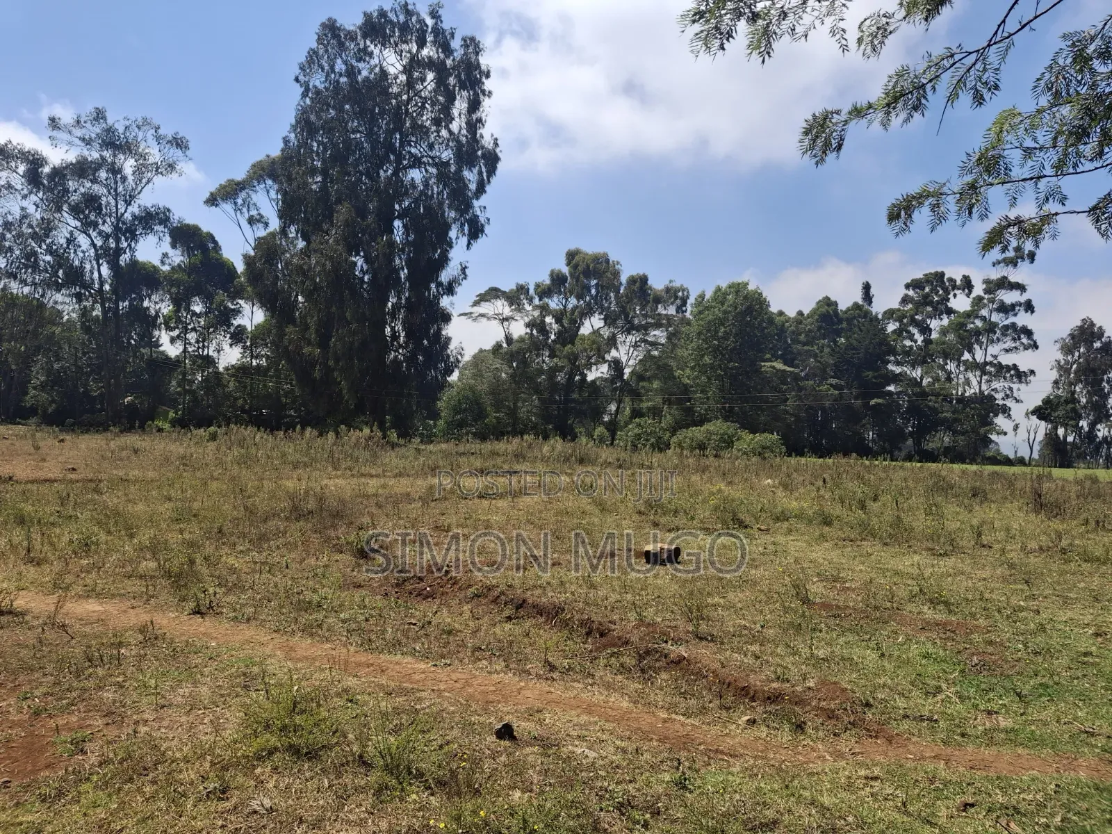 Limuru Rironi Prime 5 Acres