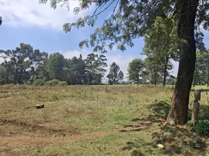 Limuru Rironi Prime 5 Acres