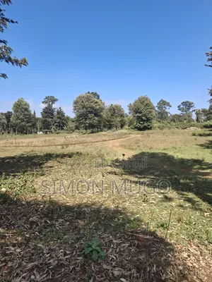Limuru Rironi Prime 5 Acres