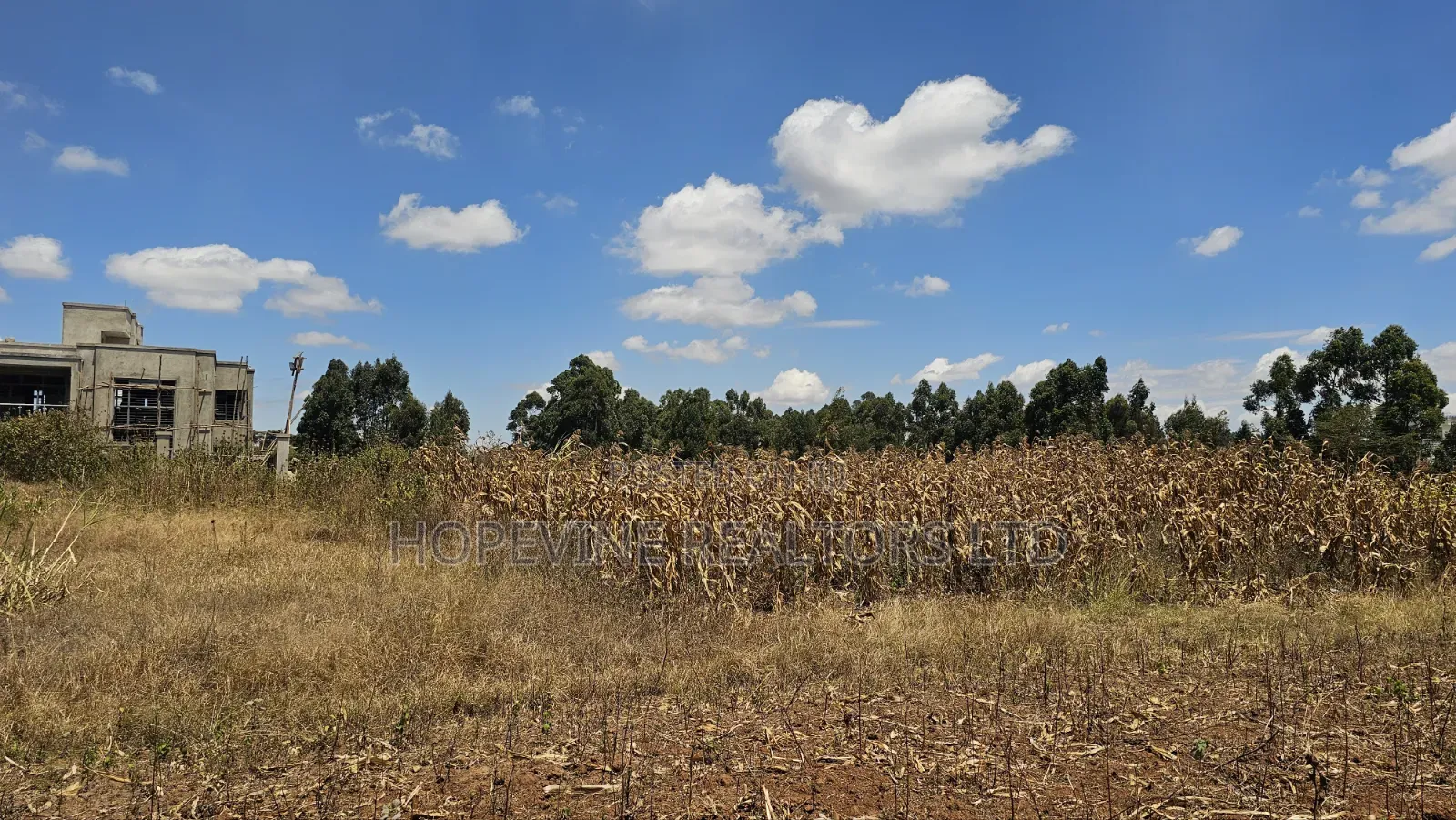 Kikuyu Prime Plots for Sale
