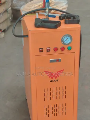 Dry and Wet Steam Engine Washing Machine Sunshine Italy 3phase