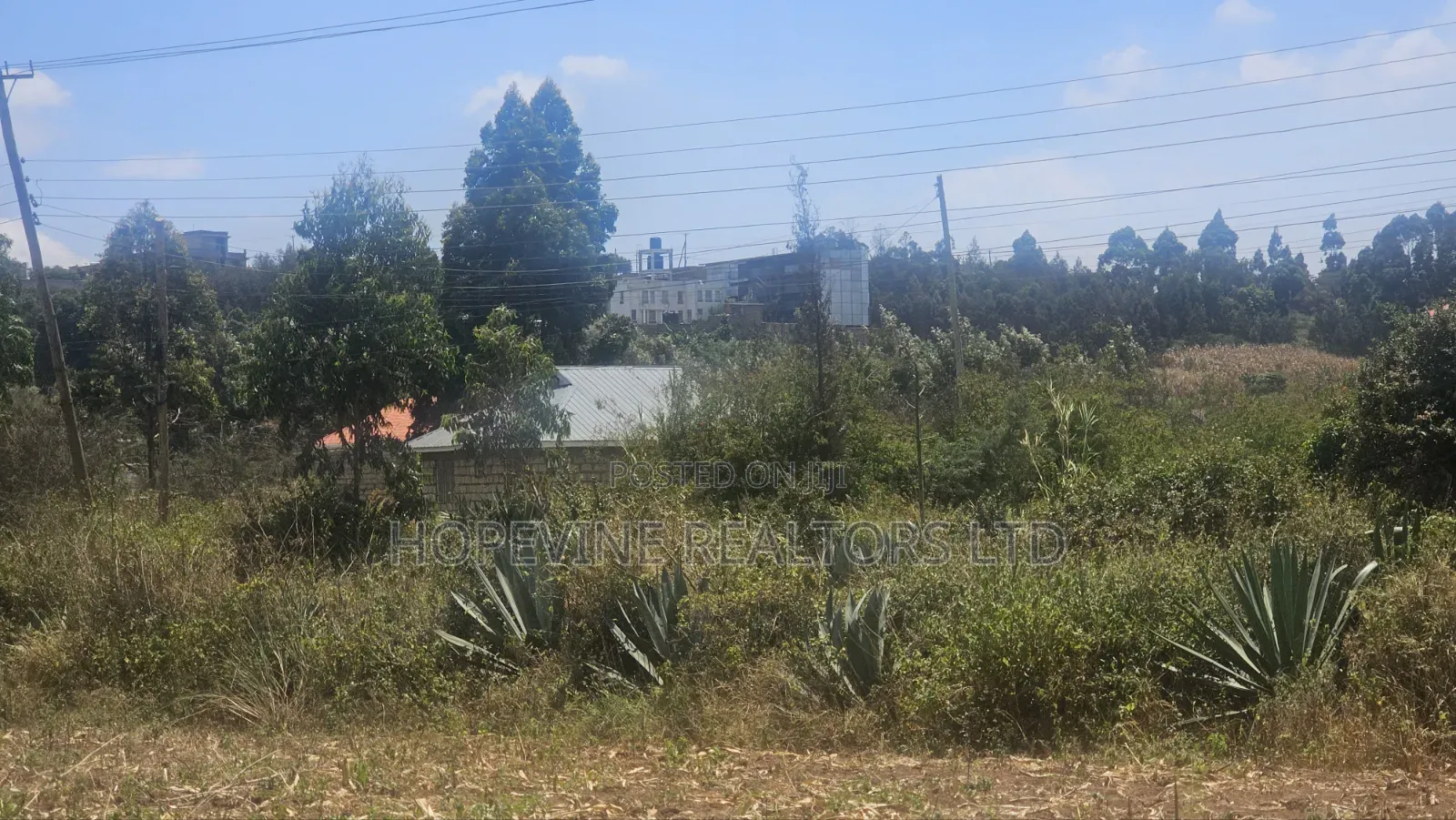 Gikambura Plots for Sale