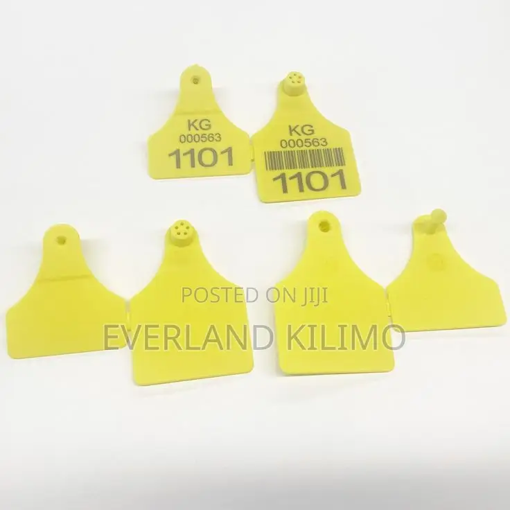 High-Readability Goats Customized Small Ear Tags