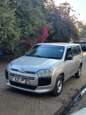 Toyota Succeed 2019 Gray