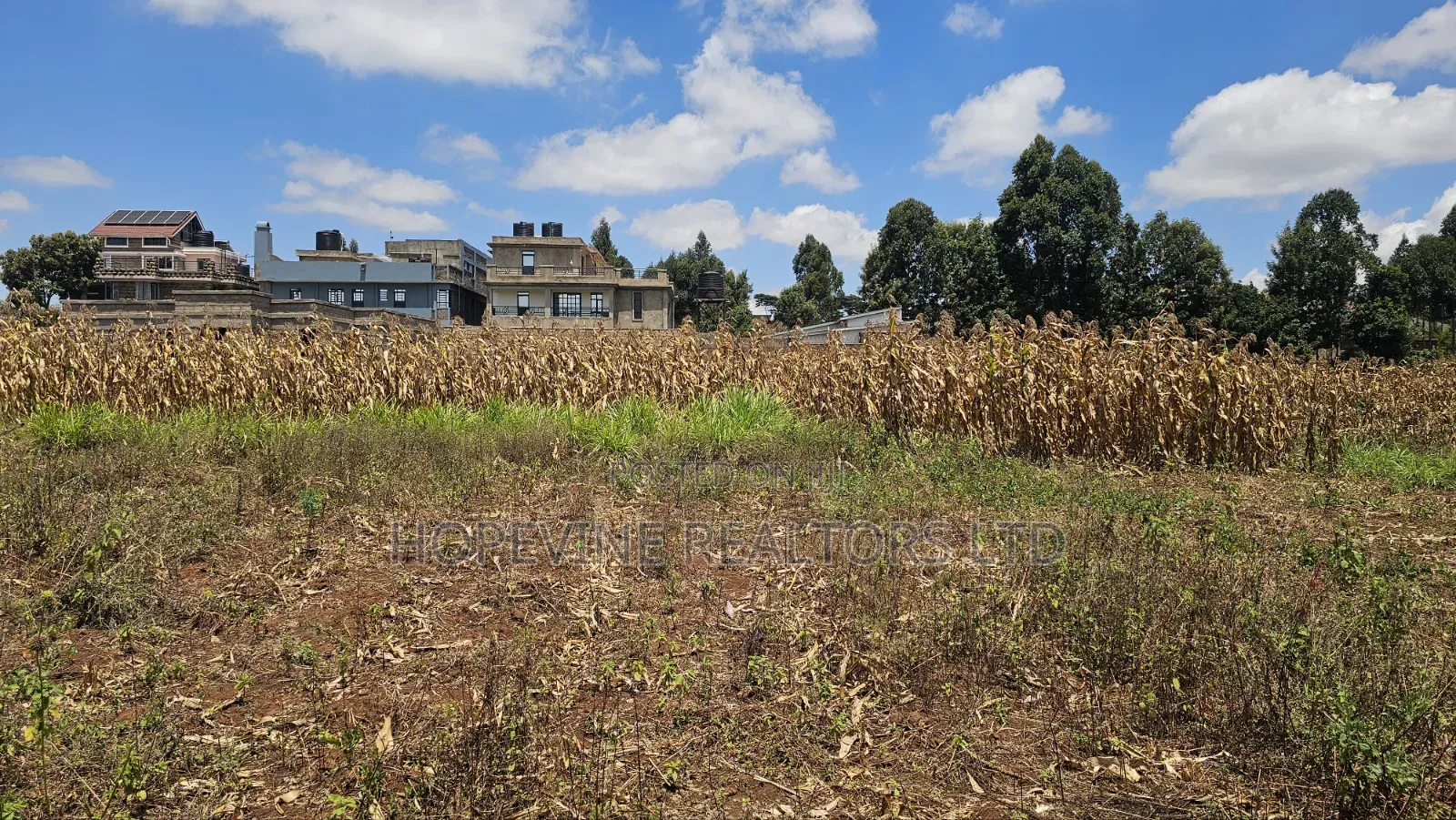 Gikambura Plots for Sale