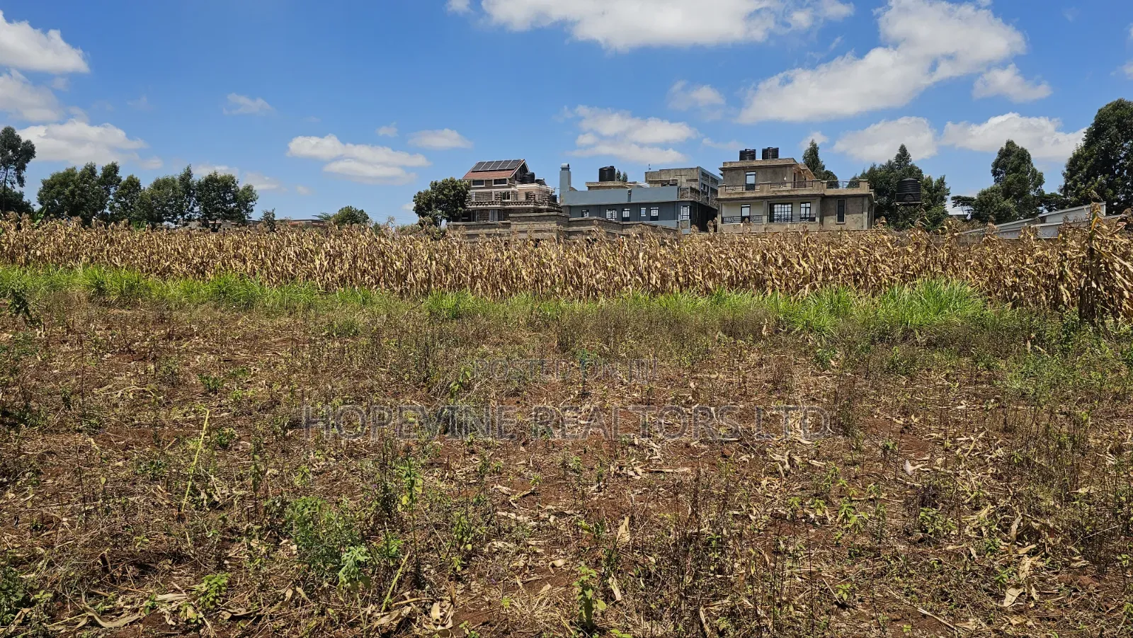 Gikambura Plots for Sale