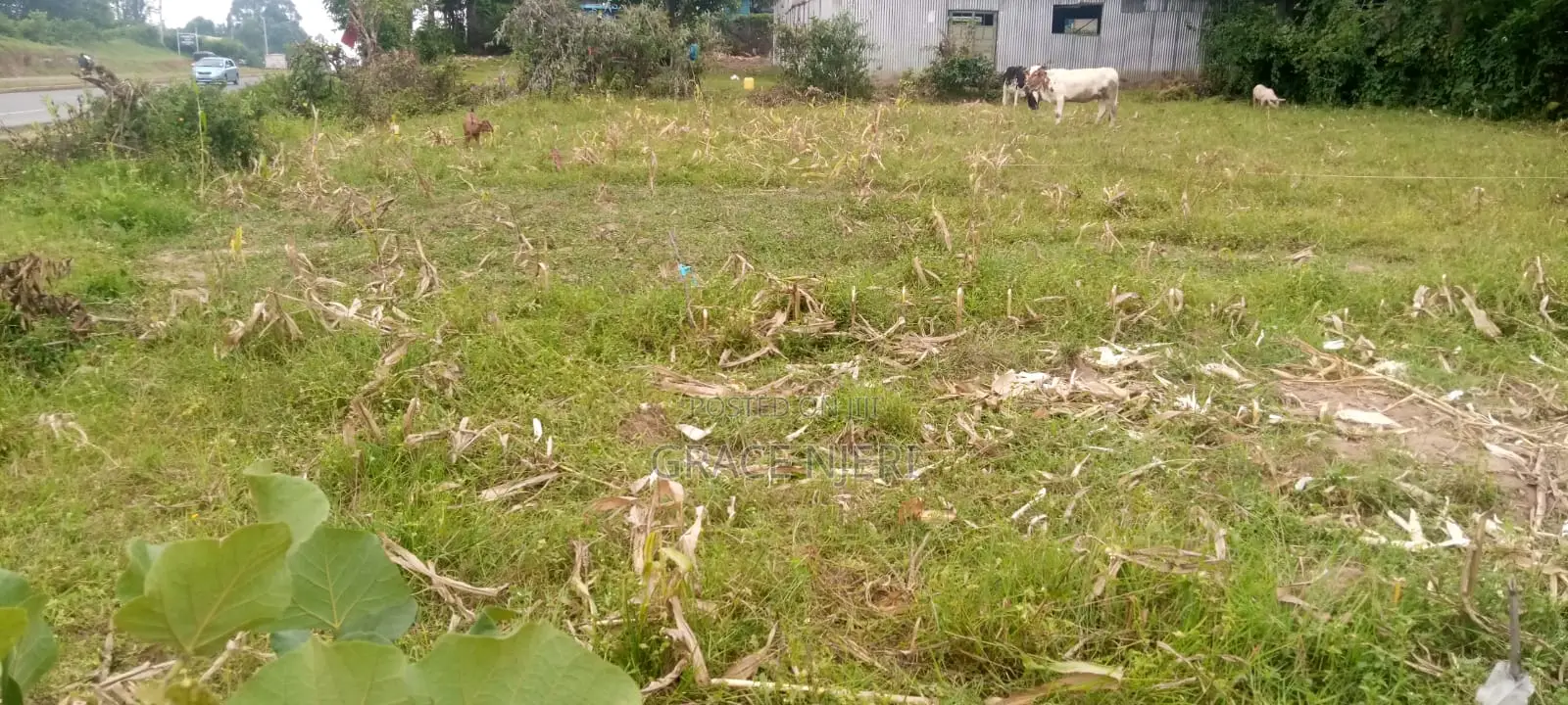 Plot for Sale in Handindi Along Kakamega-Kaburengu Highway